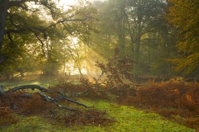 九游体育官网入口-朱婷开设公益账号推广排球知识，排球女将朱婷捐款多少