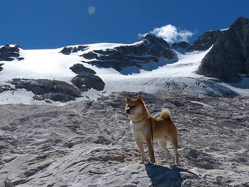 朱婷开设公益账号推广排球知识,排球女将朱婷捐款多少